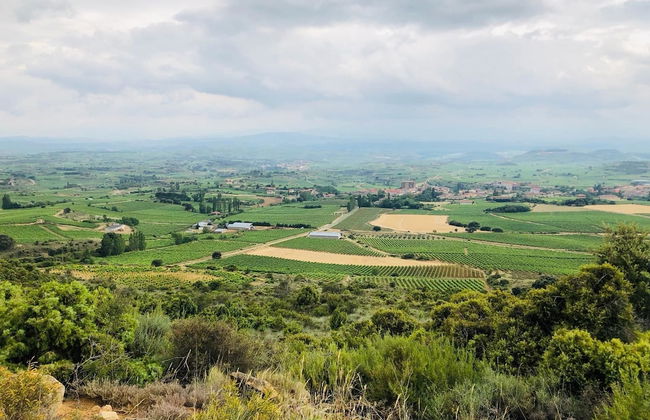 La Casona De Alútiz - Foto 28