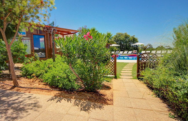 Pinheiros da Balaia - Photo 66