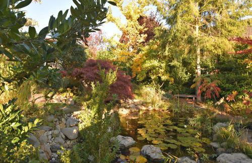 Wohnung in Bad Zwesten am Edersee - Foto 37