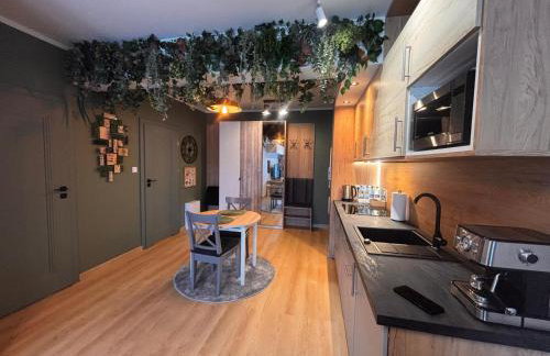 Oliwkowy - stylowy Apartament w naturalnym klimacie - Photo 15