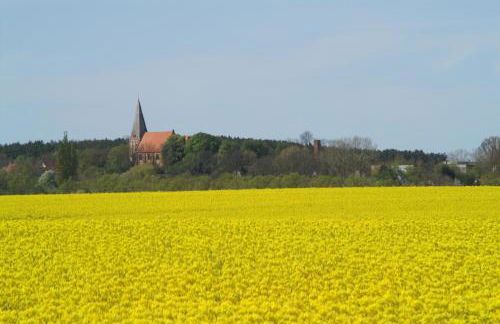 Museumshof Puddemin - Foto 7