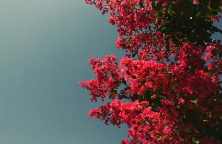 Il Giardino Di Lory - Foto 77