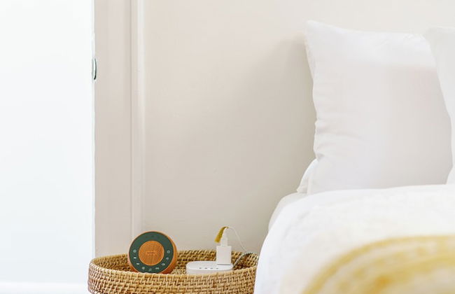 Jungle Gem Master house - Foto 6