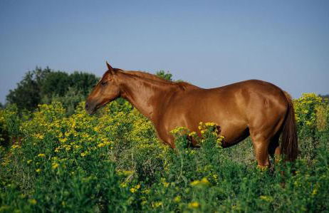 Villa Rio by Valada Village - Foto 75