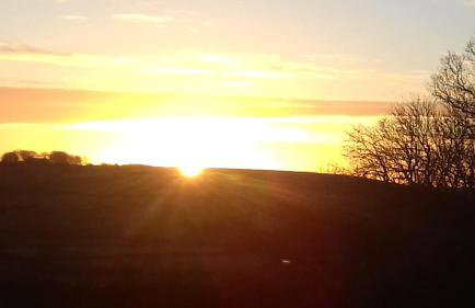 Hamsteels Hall Cottages - Foto 79