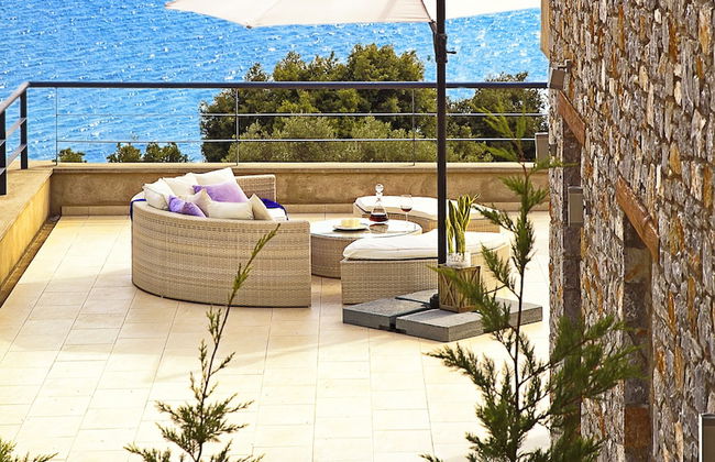 Golden King - Foto 66