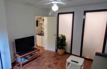 El laurel y el limonero. - Foto 32