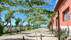 La Foresteria di Podere Muracciolo - Foto 5