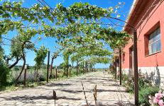 La Foresteria di Podere Muracciolo - Foto 5