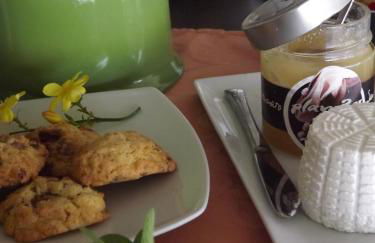 Agriturismo Podere il Fornacino - Foto 42