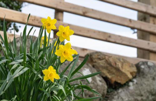 Little-Oak - Foto 13