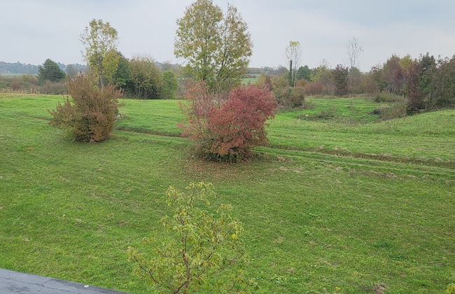 Villa Stone - Photo 22