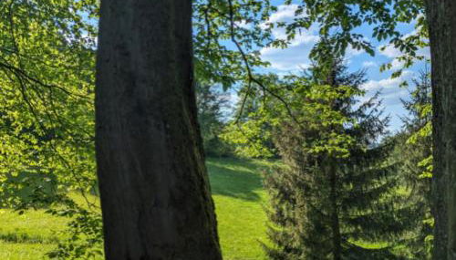 Kleine Sonnenstrahl-Oase - Foto 5