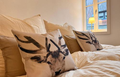 Direkt am Marktplatz - Freudenstadt und Schwarzwald erleben - Foto 7