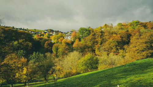 Ferienhaus Rurblick - Foto 2