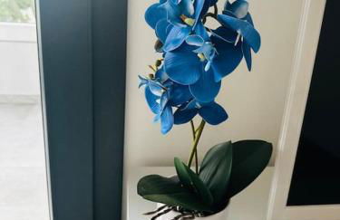 Blue Orchid Apartment, IUN S8460 - Foto 24