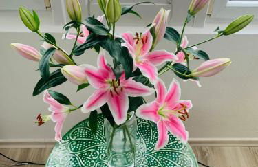 Außergewöhnliche BOHO Wohnung mitten in ZIRNDORF - Foto 8