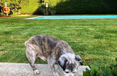 Casa Pedro e Ines - Foto 34