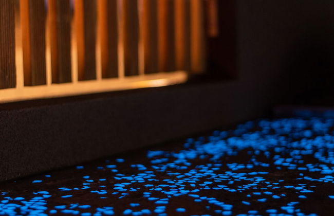 The Cove Tasmania - Photo 17