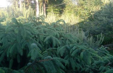 Apartament z ogrodem - Wiejska Chata - Foto 14