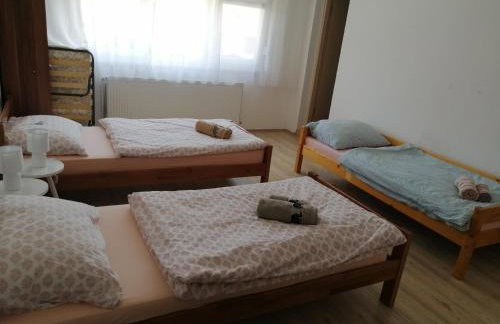 Apartman Kopriva - Photo 14