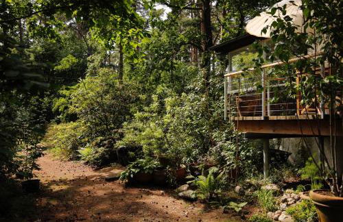 Waldhaus am Meer - Foto 26