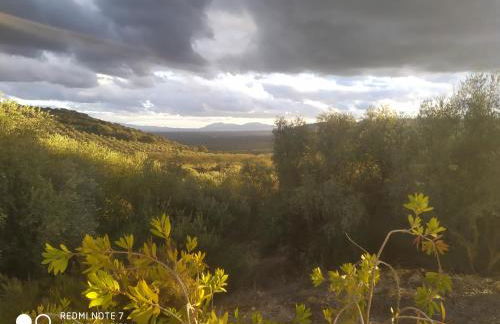 Casas Rurales Cortijo la Cañada - Photo 11