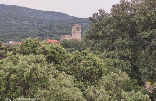 Tu Casa de Pueblo - Photo 41