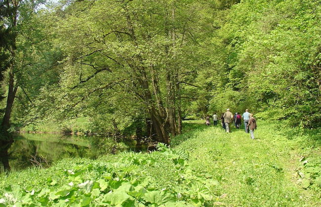 Farmhouse in Wilsecker Near Moselle Boat Tours - Photo 38