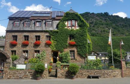 Weingut -1869- Brunnenhof - Foto 1