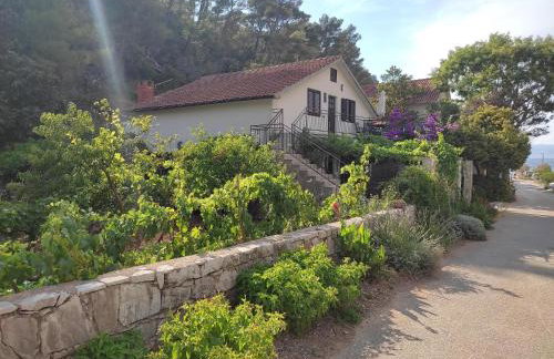 Apartments by the sea Cove Vela Stiniva - Hvar - 19951 - Foto 1