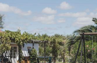 Monte dos Pintos - Foto 3