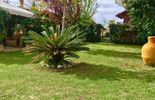 Agriturismo Il Casale - Foto 49