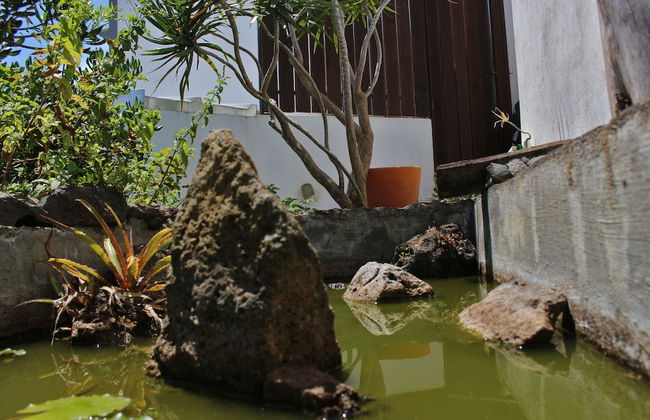 Casa do Porto da Horta - Foto 15