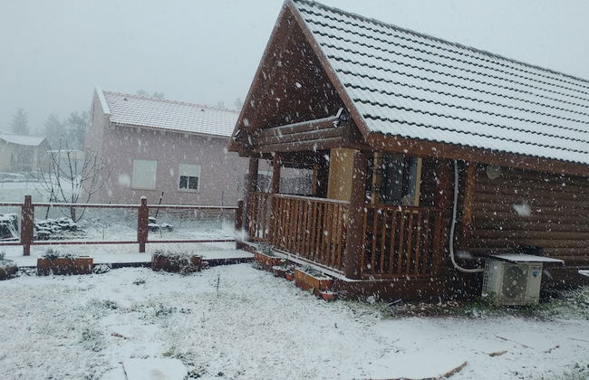 Dalia Barama - Photo 13