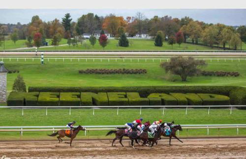 Serene Bourbon Cabin - Foto 37