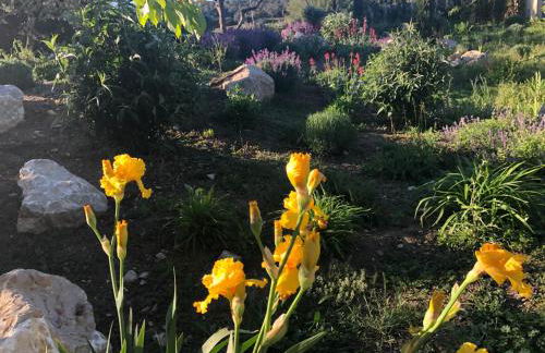 Domaine du Mas Foucray - Foto 64