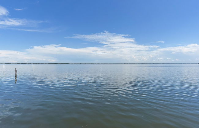 It's A Shore Thing 1 Bedroom Condo by RedAwning - Foto 55