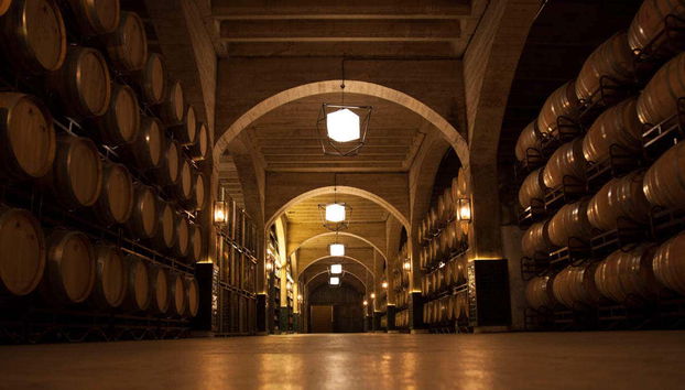 Visita a las bodegas Solar de Samaniego - Foto 4