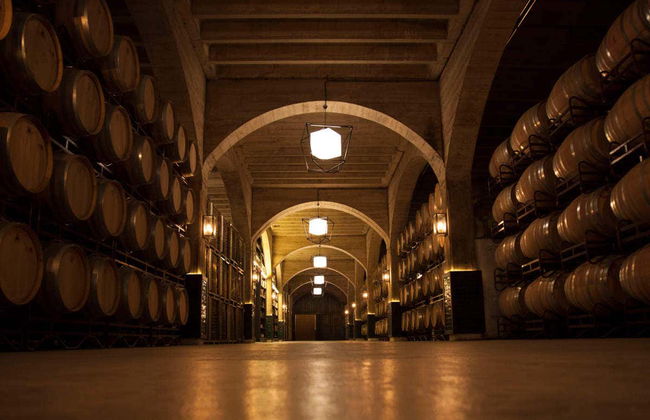 Visite des bodegas Solar de Samaniego - Photo 4