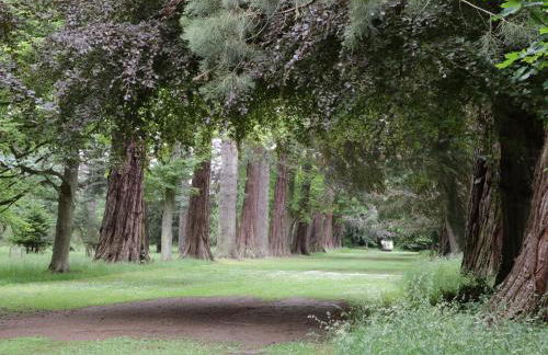 Housekeeper's Rooms - Foto 17