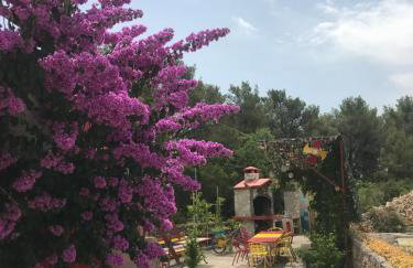 Lipovac resort Ficus - Foto 17