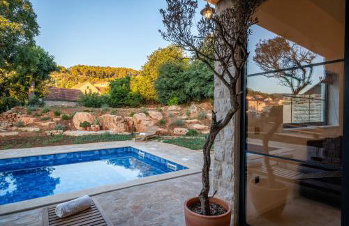 Three Little Birds - Foto 11