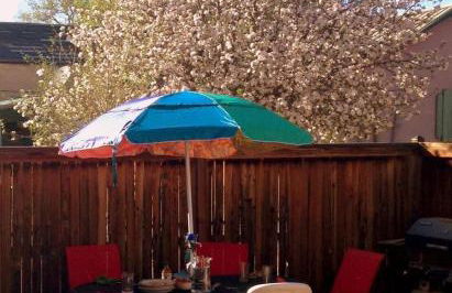 La Casita Colorada, 12 block to river STR#865 - Foto 26