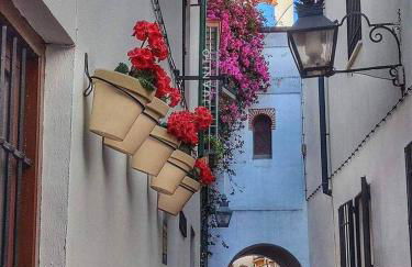 Precioso loft El Arcángel junto a la Ribera - Foto 33