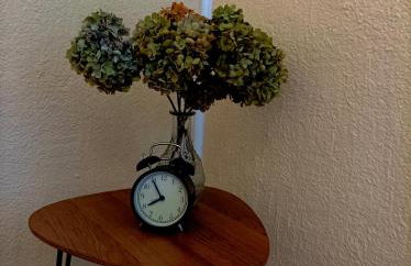 Apartmani Sabina - Foto 59