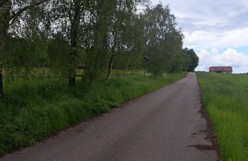 Haus Eufalia - Photo 50