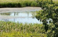 Oaza spokoju - Walendów - Foto 16