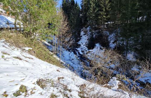 - La Casetta di Legno - i colori della natura - Photo 27