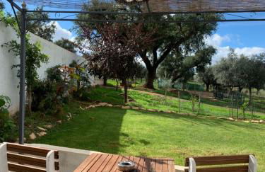 Herdade Da Maridona - Agroturismo - Foto 49